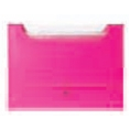 Neon Hot Pink Expanding File